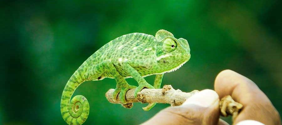 Reflecting on the Blessings in My Life