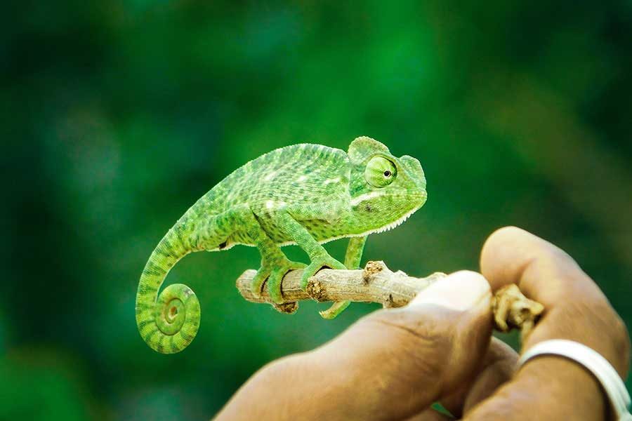 Reflecting on the Blessings in My Life